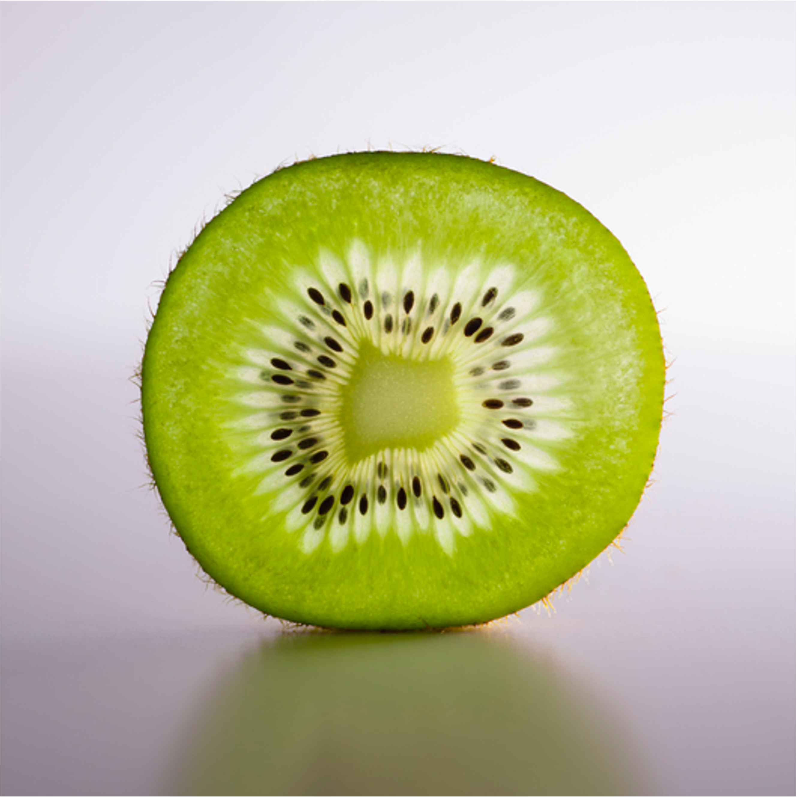Kiwi2.webp
