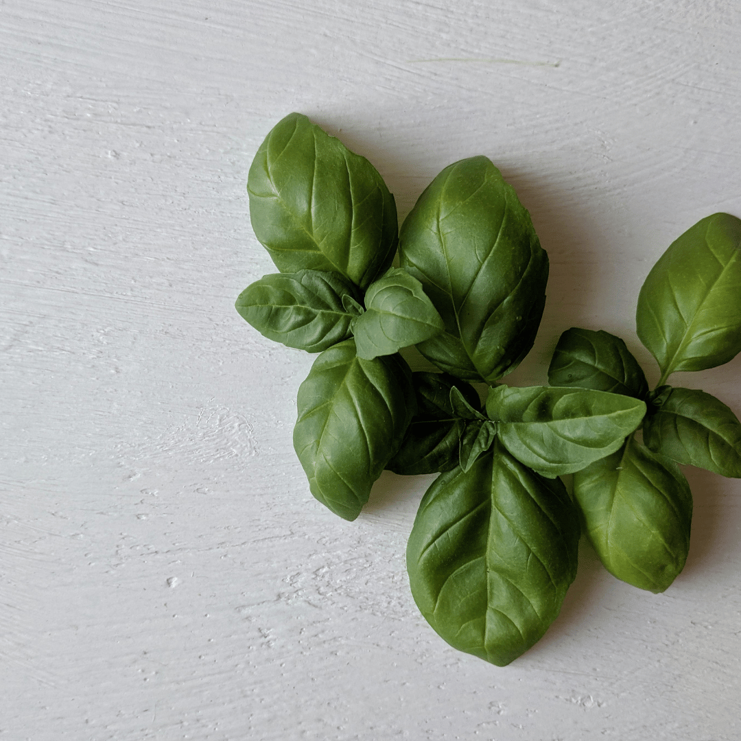 basil 