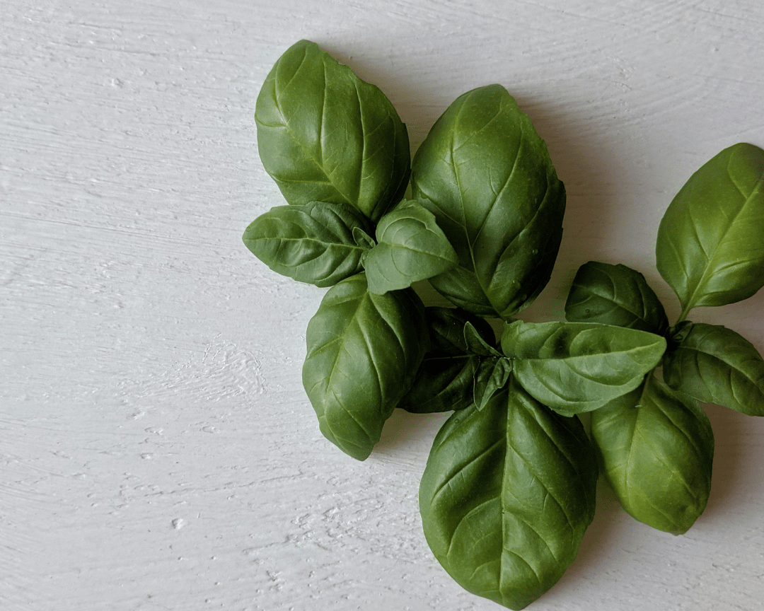 basil 