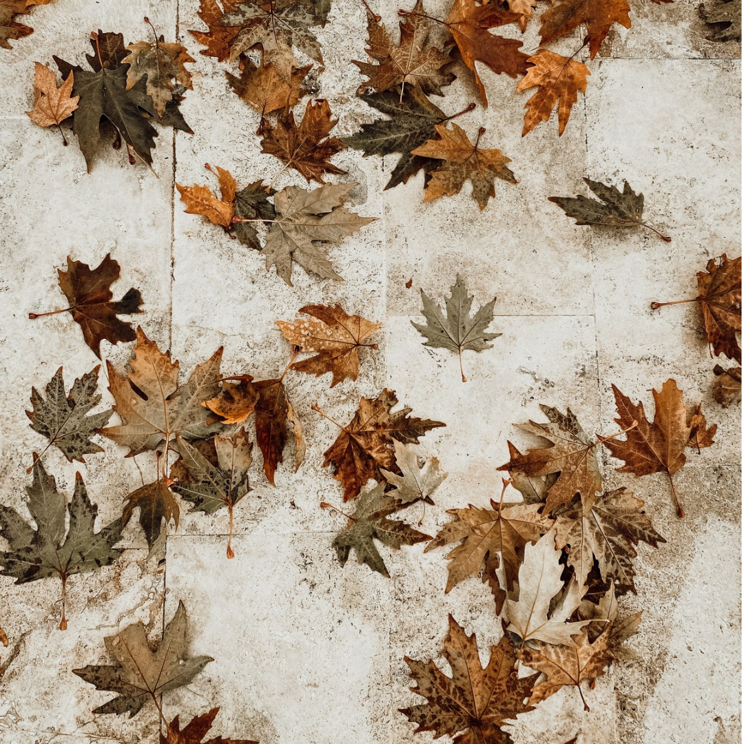 Does Your Microbiome Change With the Seasons