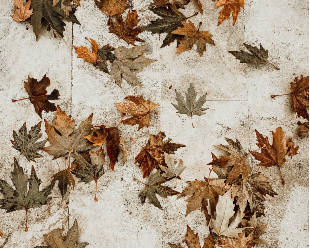 Does Your Microbiome Change With the Seasons