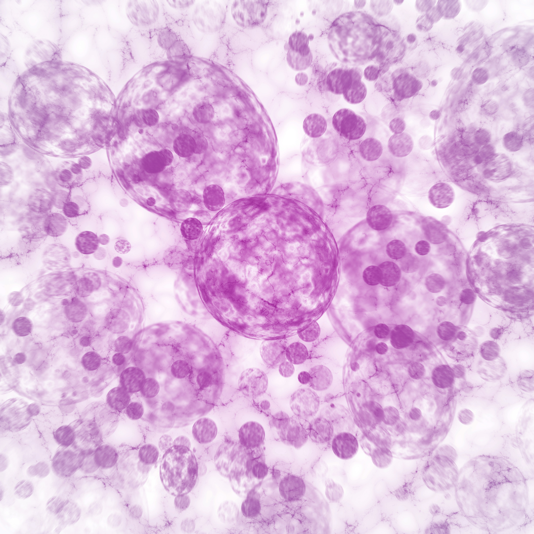 Gastroenteritis: Care, Nutrition & Probiotics