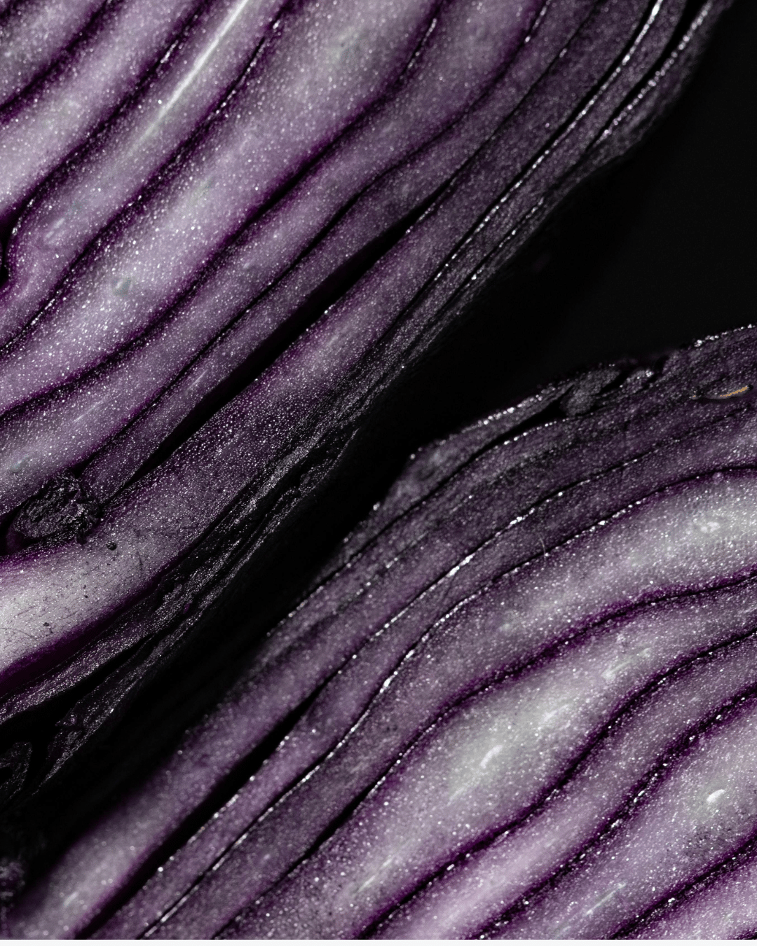 layers of red cabbage