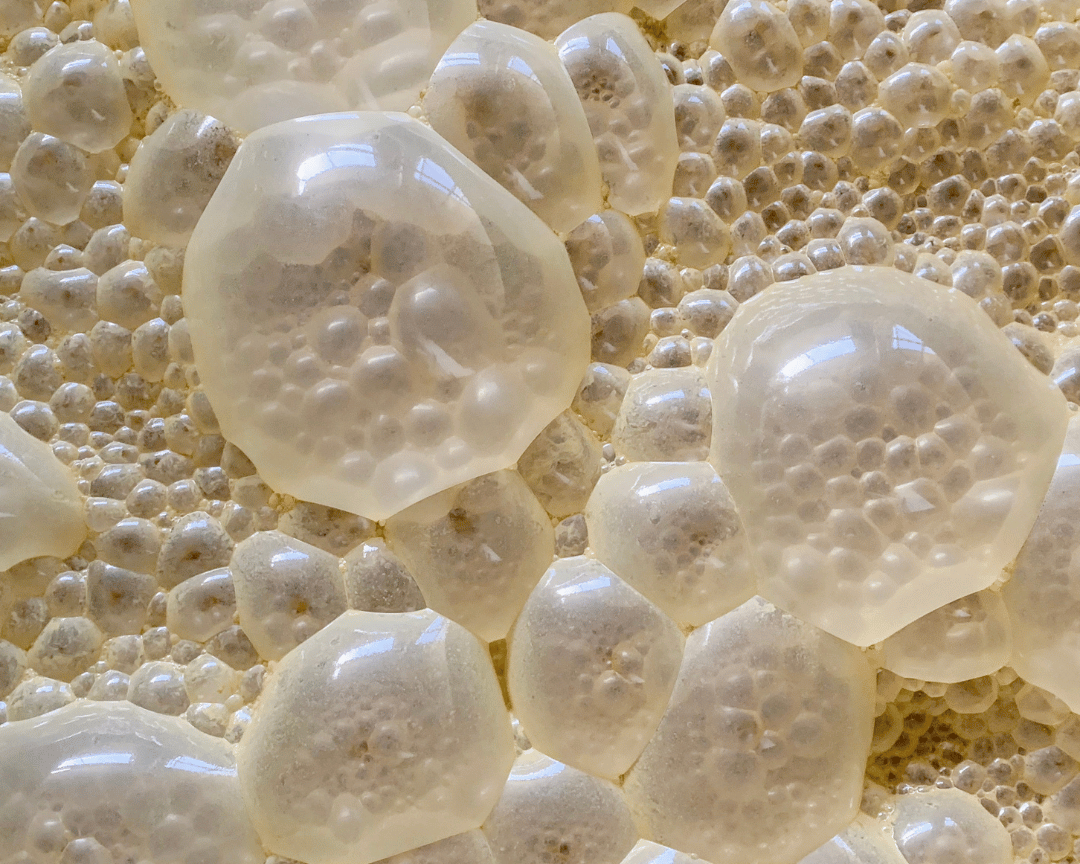Fermentation Bubbles