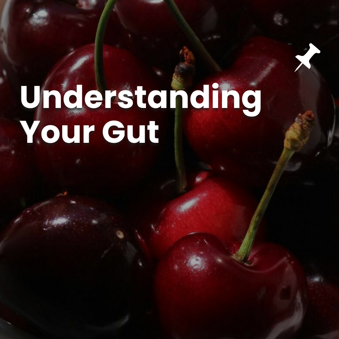 The Ultimate Guide to Gut Health