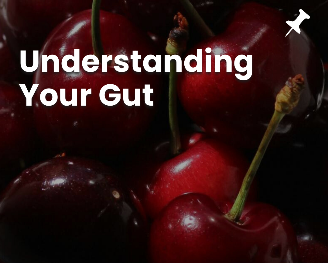 The Ultimate Guide to Gut Health