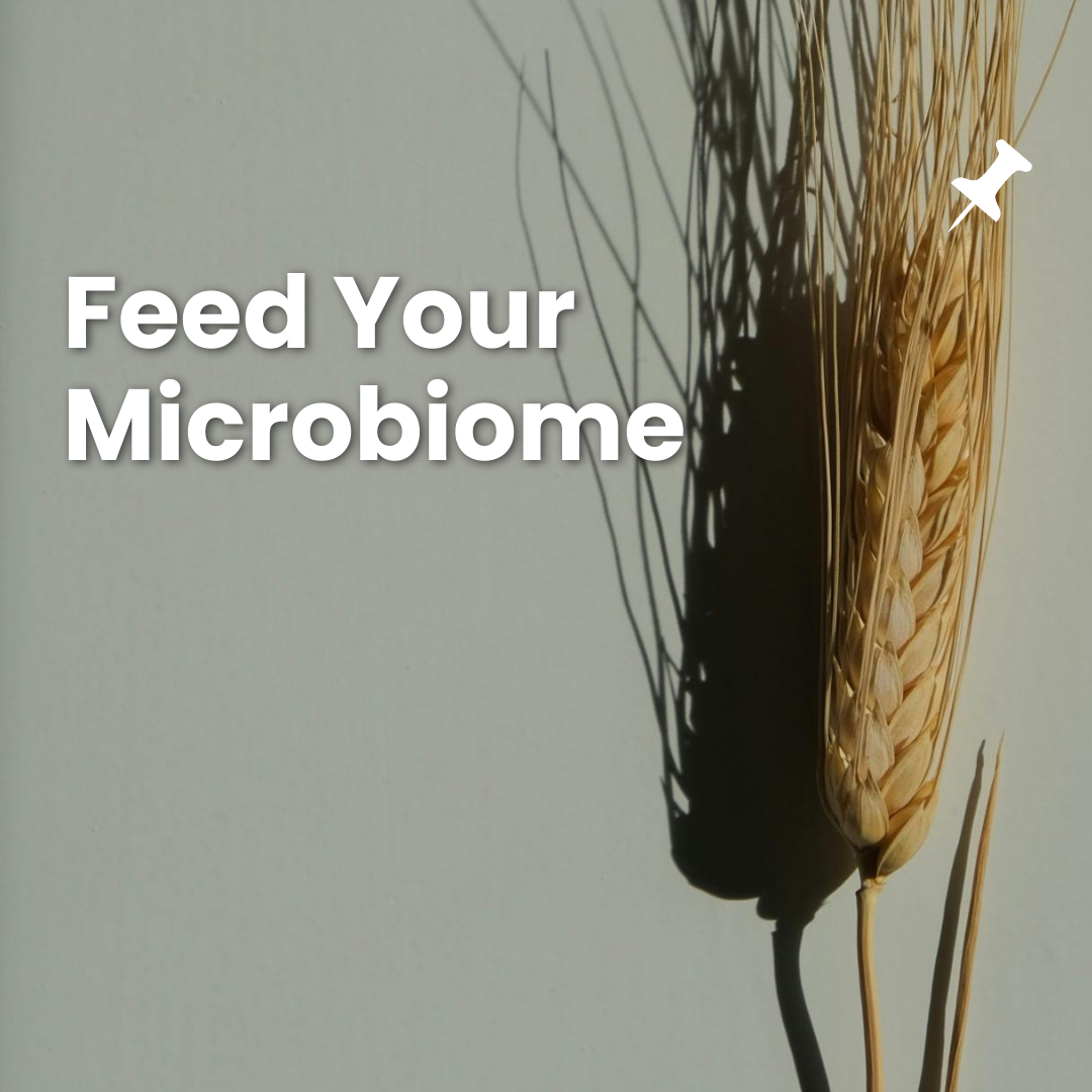 The Ultimate Guide to Fibre