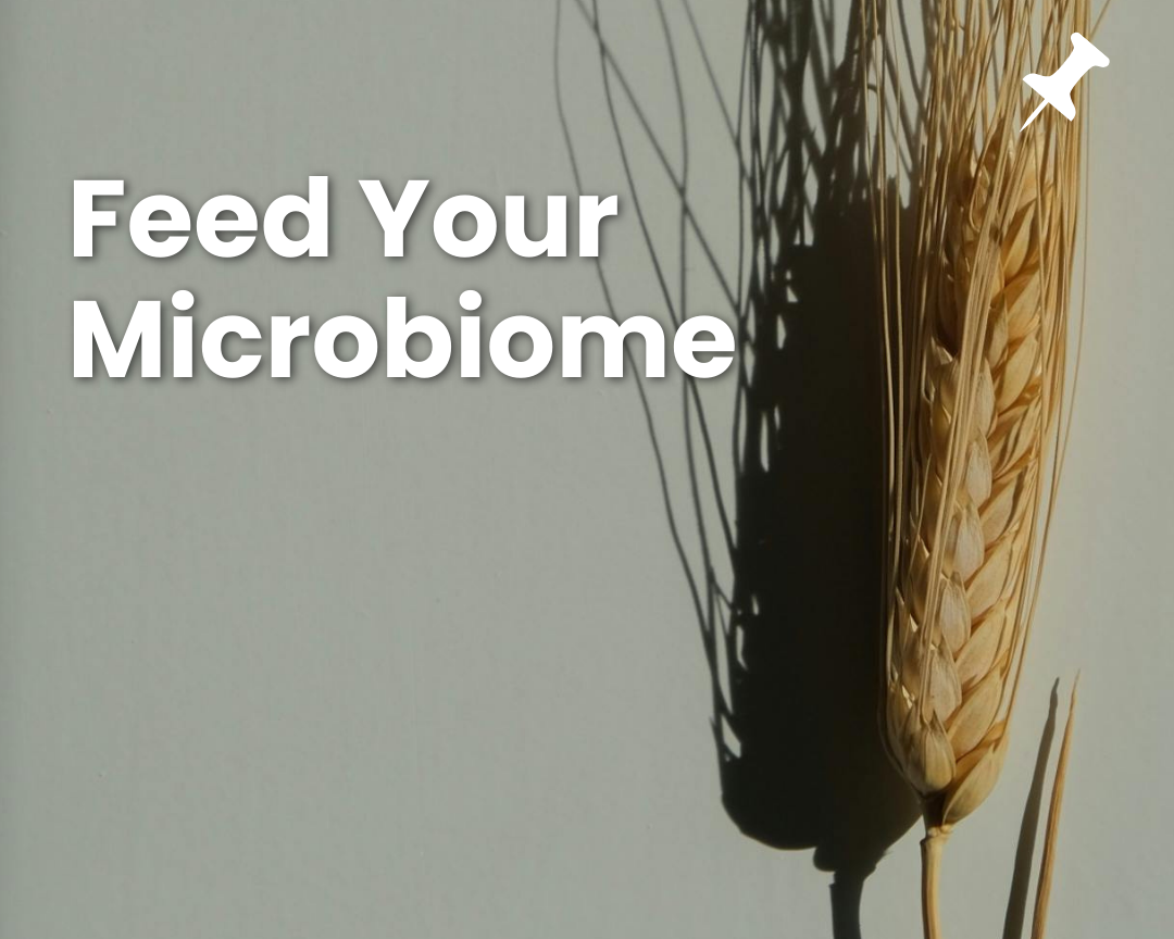 The Ultimate Guide to Fibre