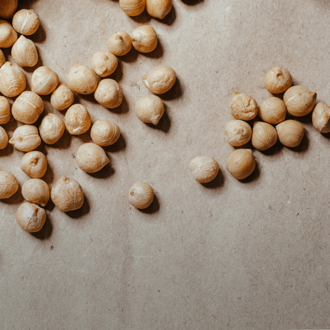 close up of chickpeas