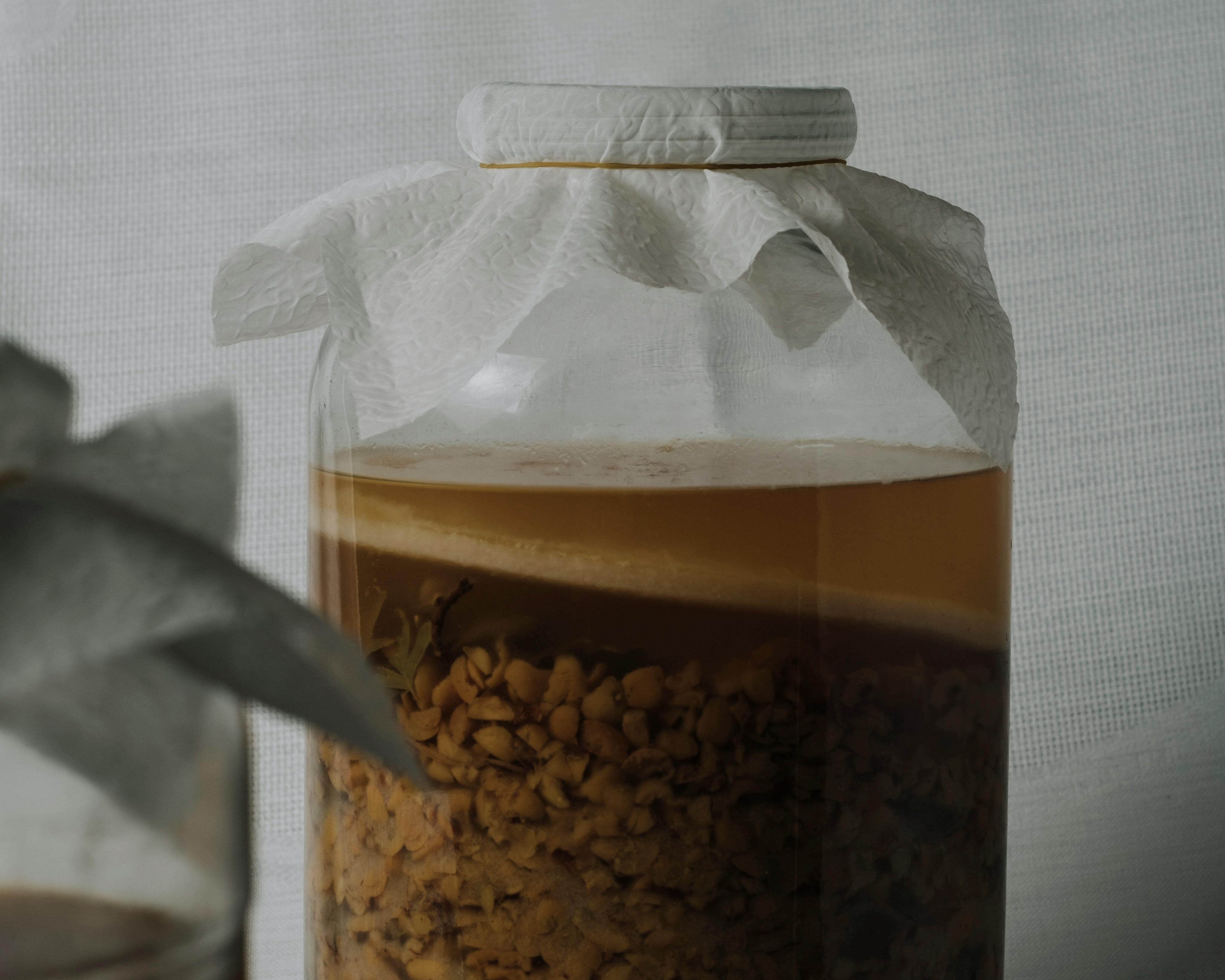 Is Kombucha good for gut health?